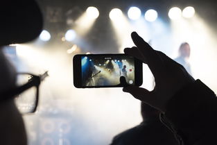 盗窃打赏女主播400万,数字背后的生活真相与反思 盗窃打赏女主播400万,数字背后的生活真相与反思