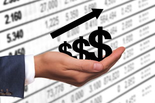 从历史到未来,国足对叙利亚比赛背后的故事与展望 从历史到未来,国足对叙利亚比赛背后的故事与展望