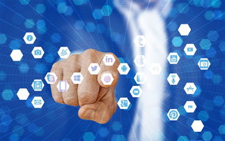 小小罗零距离,足球传奇的非凡魅力与成功秘诀 小小罗零距离,足球传奇的非凡魅力与成功秘诀