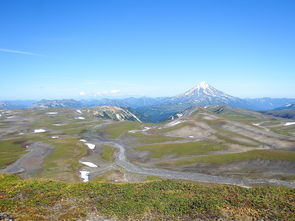解读季后赛对阵图，策略、数据与胜负的关键