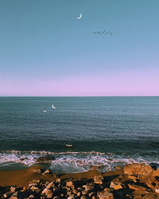 欧洲足坛的璀璨明珠