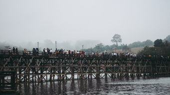 走进特里布里奇，连接未来的桥梁