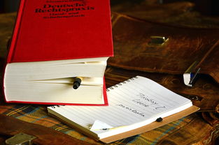 从NBA传奇射手到篮球文化的传承者 从NBA传奇射手到篮球文化的传承者