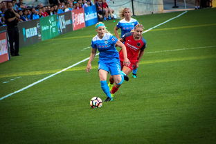 山西兴瑞女篮,篮球场上的巾帼英雄 山西兴瑞女篮,篮球场上的巾帼英雄