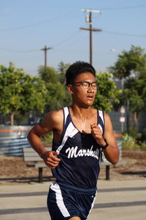 刘志轩伤退背后的深度解读,伤病对运动员职业生涯的影响及应对策略 刘志轩伤退背后的深度解读,伤病对运动员职业生涯的影响及应对策略
