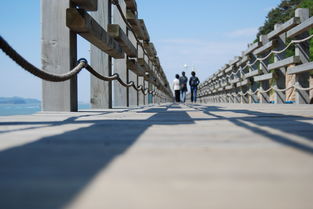 从危机到希望的旅程 从危机到希望的旅程