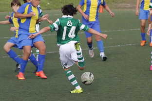 欧洲世预赛风云变幻，积分排名背后的足球策略与国家荣誉