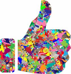 上海申花足球俱乐部，绿茵场上的荣耀与挑战