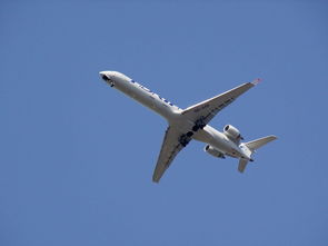 跃动的笔尖，我和体育作文的不解之缘