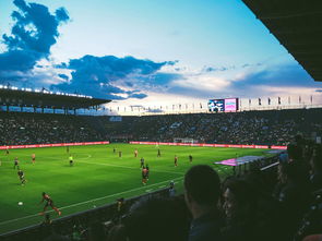 2026年世界杯，足球盛宴的新纪元