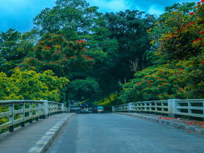 成都4月7日恢复尾号限行，绿色出行，共筑美好城市生活