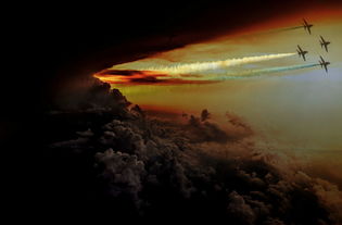 揭秘奥运会冠军奖金,不仅是荣誉,更是人生的新起点 揭秘奥运会冠军奖金,不仅是荣誉,更是人生的新起点