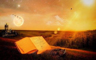 北京胡同,穿越时空的英文之旅 北京胡同,穿越时空的英文之旅