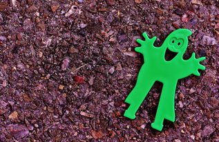 体育精神,竞技场上的道德指南针 体育精神,竞技场上的道德指南针