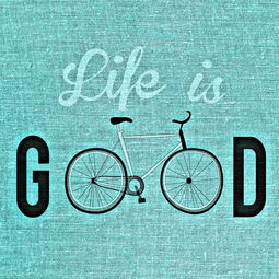 中国女排重回第一,荣耀背后的坚韧与智慧 中国女排重回第一,荣耀背后的坚韧与智慧