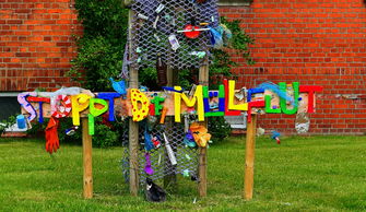 活力小勇士,小学生单人体能训练项目全攻略 活力小勇士,小学生单人体能训练项目全攻略