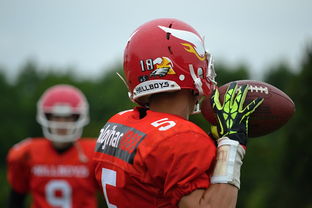 足球加App,足球爱好者的官方下载指南 足球加App,足球爱好者的官方下载指南