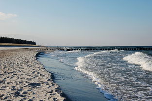 河北疫情新动态,新增本土无症状感染者142例的深度解析 河北疫情新动态,新增本土无症状感染者142例的深度解析