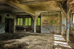 体育馆在学校的布局，优化校园空间与促进学生健康