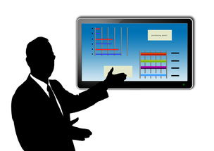 体育平台大全，一站式探索全球体育资源