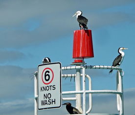 被拘留在海海的杜特尔特，现状、影响与未来展望