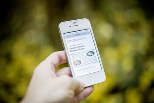 足球世界触手可及,国际足球新闻手机新浪的便捷魅力 足球世界触手可及,国际足球新闻手机新浪的便捷魅力