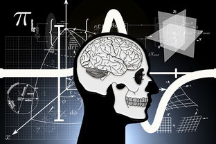 探索令人毛骨悚然的英文短句,语言的力量与心理效应 探索令人毛骨悚然的英文短句,语言的力量与心理效应