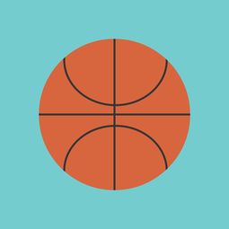 篮球球号,球场上的数字语言 篮球球号,球场上的数字语言