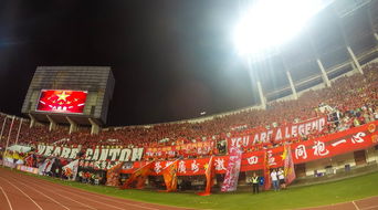 万绿园体育馆，城市绿洲中的活力心脏