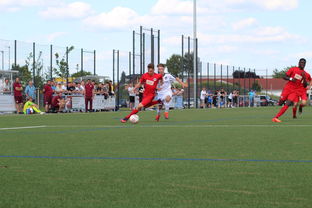 手机体育频道，新浪体育，随时随地享受体育盛宴