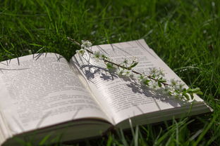 超越自我,体育精神的领悟与心得体会 超越自我,体育精神的领悟与心得体会