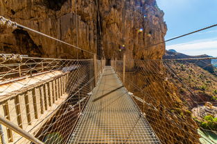 探索青跬英语，跨越语言障碍的桥梁