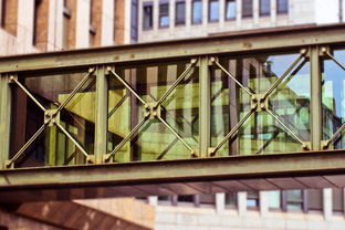 太康新闻，连接过去与未来的桥梁