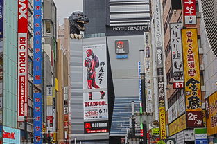 探索体育馆的奥秘，从单词到建筑的全方位解析