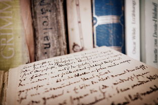 深入探究stupid一词的词根与历史演变 深入探究stupid一词的词根与历史演变