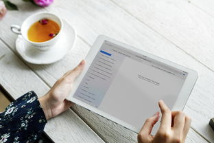 如何轻松掌握英语,实用技巧与日常对话 如何轻松掌握英语,实用技巧与日常对话