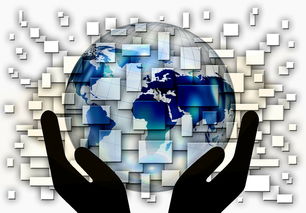 奥运会,全球团结与和平的象征 奥运会,全球团结与和平的象征