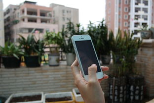 探索全自动选号机，如何让选择变得简单又高效