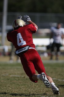 足球盛宴的序章，深入了解世预赛18强赛赛程