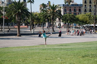 探索体育公园,城市中的活力绿洲 探索体育公园,城市中的活力绿洲