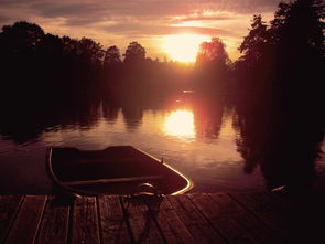 明亮的心杂志,照亮未来的文化灯塔 明亮的心杂志,照亮未来的文化灯塔