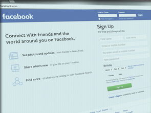 探索大乐透开奖号码查询,网站选择与使用指南 探索大乐透开奖号码查询,网站选择与使用指南