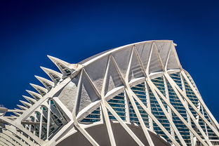 高颜值手抄报足球,艺术与激情的完美融合 高颜值手抄报足球,艺术与激情的完美融合