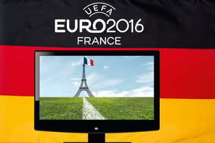 欧洲杯预选赛最终积分，足球盛宴的入场券