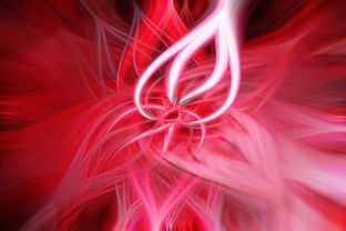 望奎疫情最新动态，防控进展与未来展望