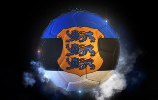 足球的英文单词，探索Soccer与Football的文化差异