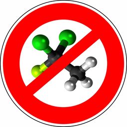 体育课单词，活力四射的词汇世界