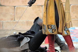 体育最近新闻,全球赛事动态与新兴趋势 体育最近新闻,全球赛事动态与新兴趋势