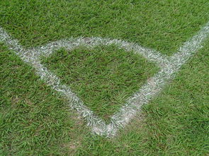 角球分析软件,足球战术的智能助手 角球分析软件,足球战术的智能助手