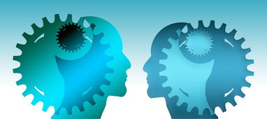 体育精神的事例故事，超越自我，团结协作